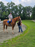 Photo Cred Mary (4-H and Open Jumper Show)