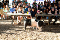 Photo cred Matt (4-H Pretty Animal Contest)