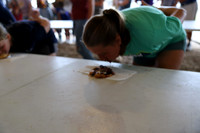 Photo Cred Matt (Pie Eating Contest (Stafford Pavilion)
