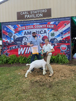 Photo Cred  Matt (4-H Livestock Auction (also featuring other 4-H items) Stafford Pavilion)