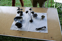 Photo Cred Matt (Wood Carving, Blown Glass & Ironworks Live Auction Field Tent)