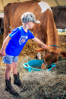 Photo Cred Susan (Dairy Cattle Show)