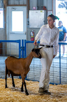 Photo Cred Susan, Van (Dairy Goat Show (Swine Barn)