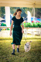 Photo Cred Susan (4-H Dog Show (Field tent)