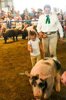 Swine Show (Cred Susan Cole)