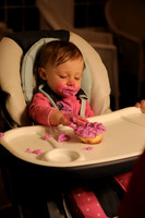 Brianna's First Birthday